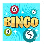 Bingo @ CPD Porthmadog FC