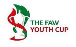 Cwpan Ieuenctid / Youth Cup