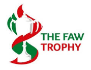 Tlws CBDC / FAW Trophy