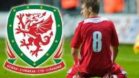 Tocynnau Cymru / Wales tickets
